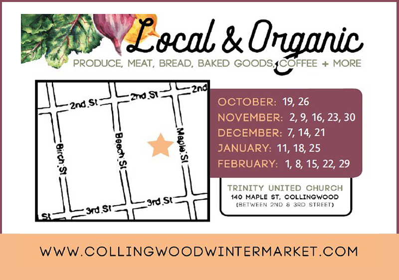 February 28-29 – Ski Under The Stars And Support Local Vendors When You Visit Stayner This Weekend