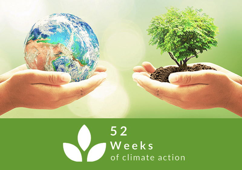 Celebrate Earth Day By Signing Up For The 52 Weeks Of Climate Action Challenge
