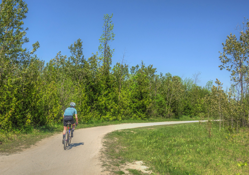 In Search Of Greener Pastures