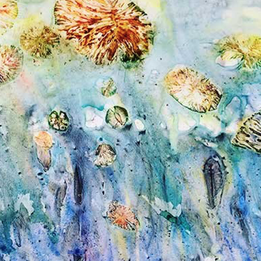 Don’t Miss Your Opportunity to Pop into Creemore’s Pop Up Gallery