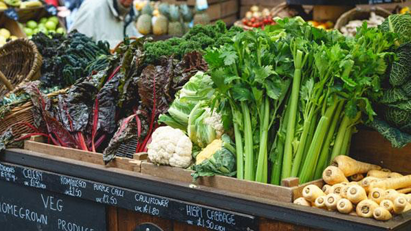 Enjoy the Tastes and Sounds of Downtown Stayner Farmers’ Market